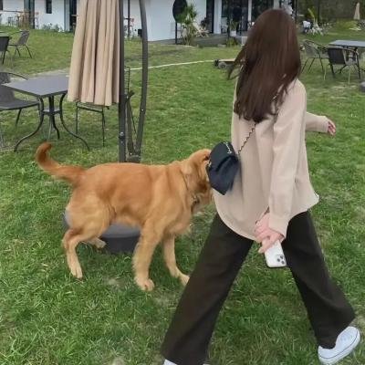我的看护旅程
