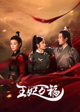 风骚律师第三季 封面图